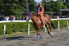 Immagine <b>REG_9324</b>